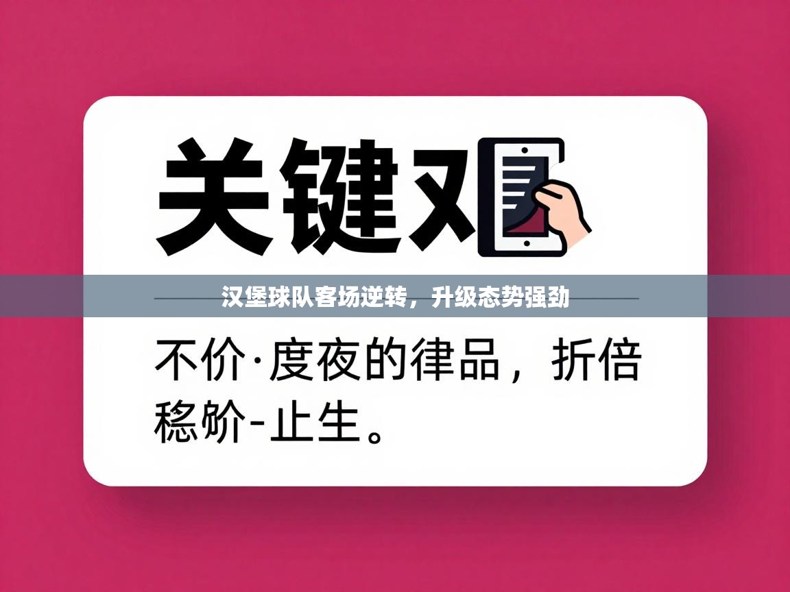 汉堡球队客场逆转，升级态势强劲  第2张
