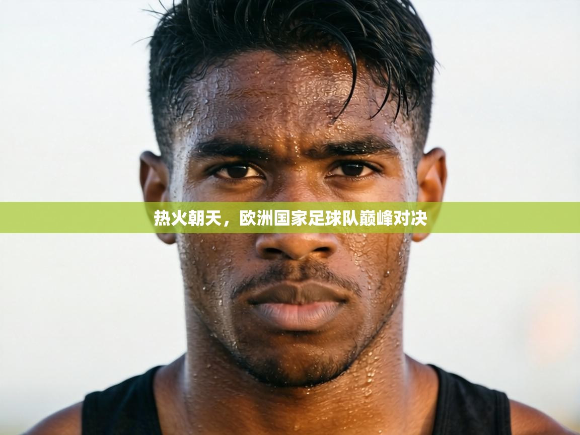 热火朝天,欧洲国家足球队巅峰对决 第1张
